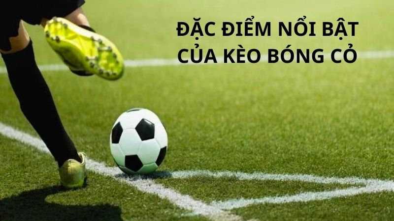 Đặc điểm nổi bật của kèo bóng cỏ là gì?